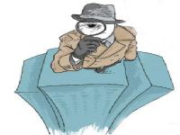 大安市取证公司解说第三者承担离婚赔偿责任吗